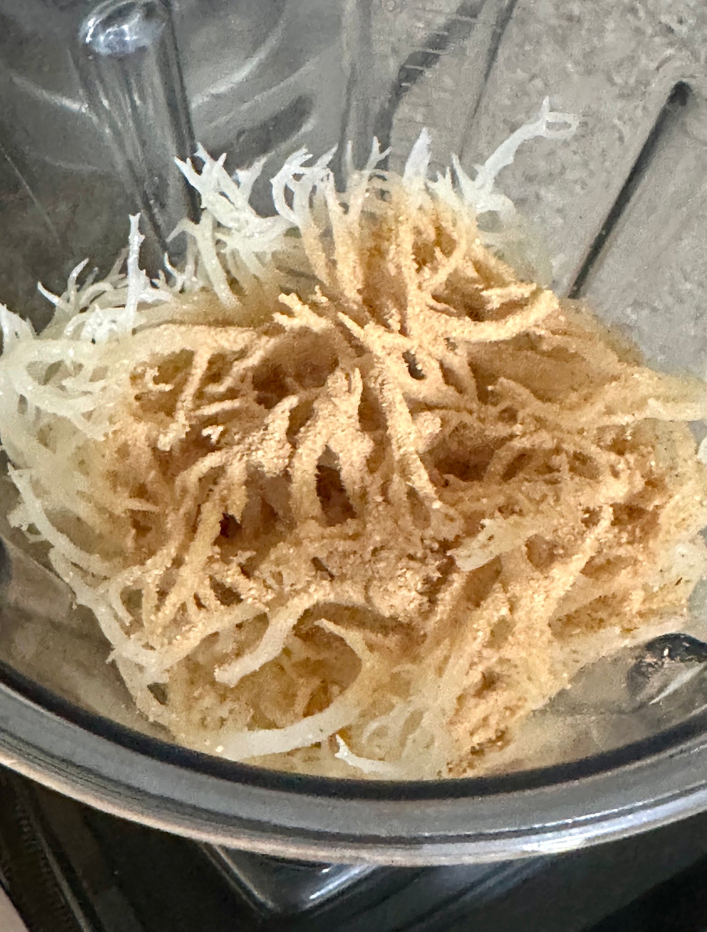 True Cinnamon Seamoss Gel