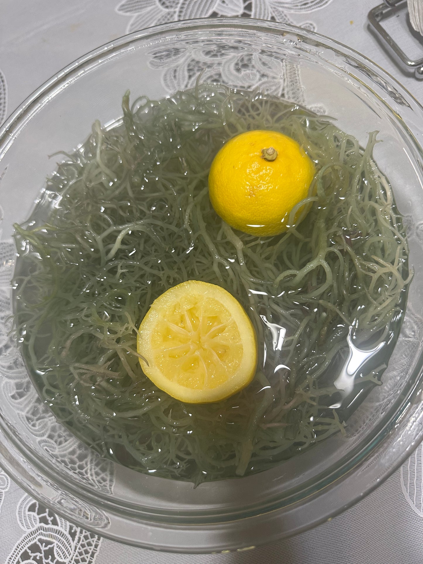 1 LB Green Wildcrafted Seamoss