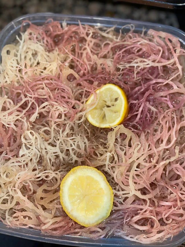 PURPLE AND GOLDEN BLENDED SEAMOSS GEL