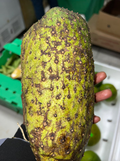 Sour Sop Seamoss Gel