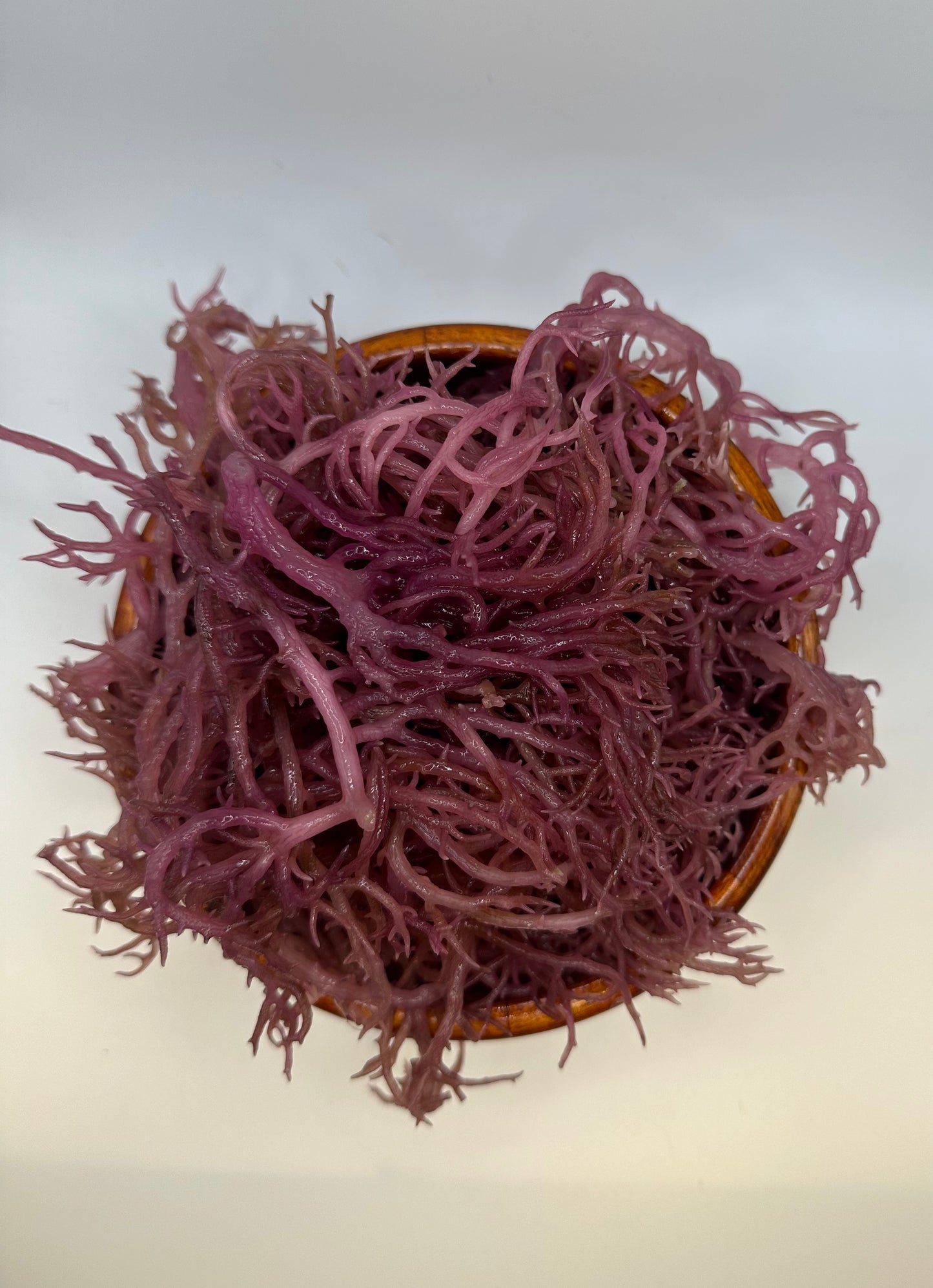 Ashwagandha in Purple Seamoss
